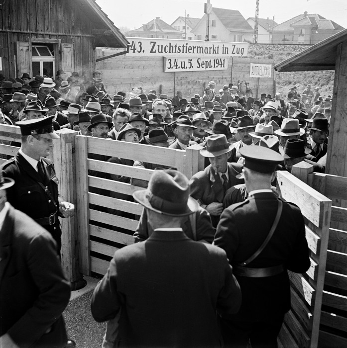 Stierenmarkt Zug 1941